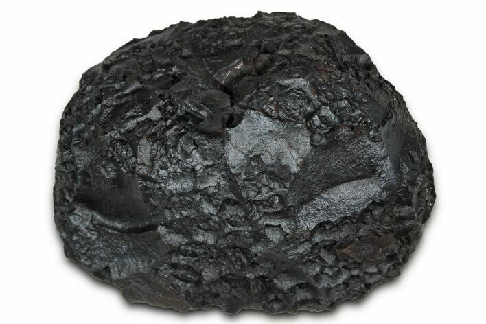 Dragon Scale Stone (Iron, Manganese, Siderite Nodule) #350189